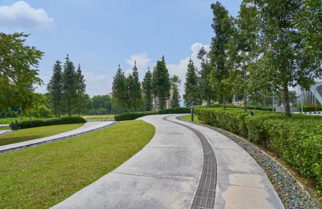 SuDS Compliant Surfacing